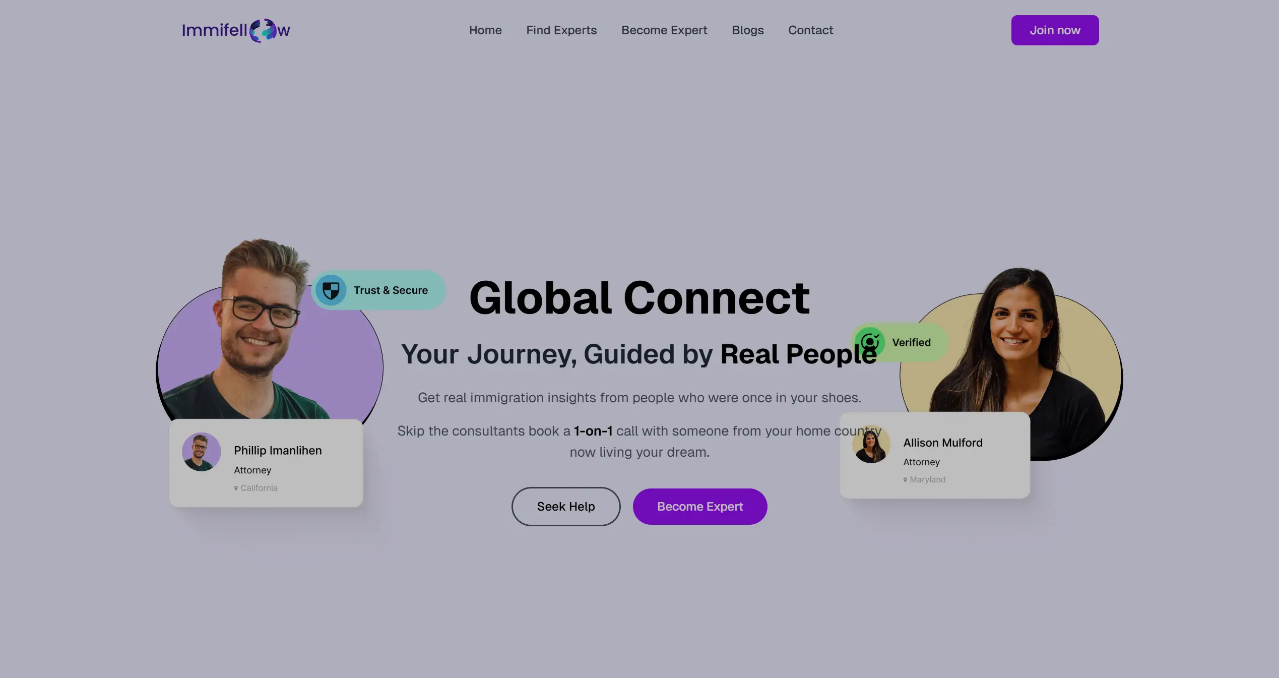 ImmiFellow project preview